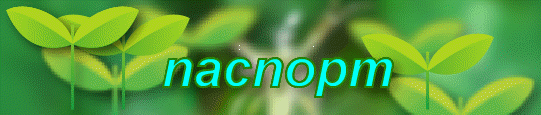 naсnоpт